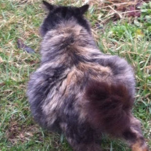 Meet your Posher, Mark